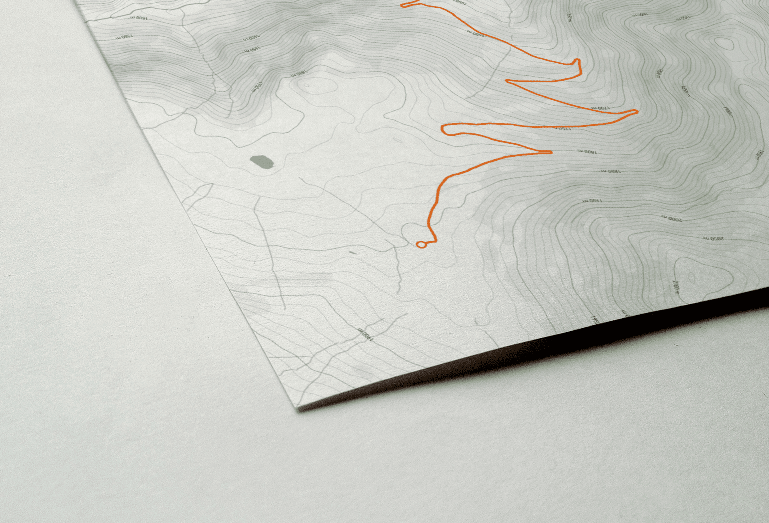 Close up of fine art print.